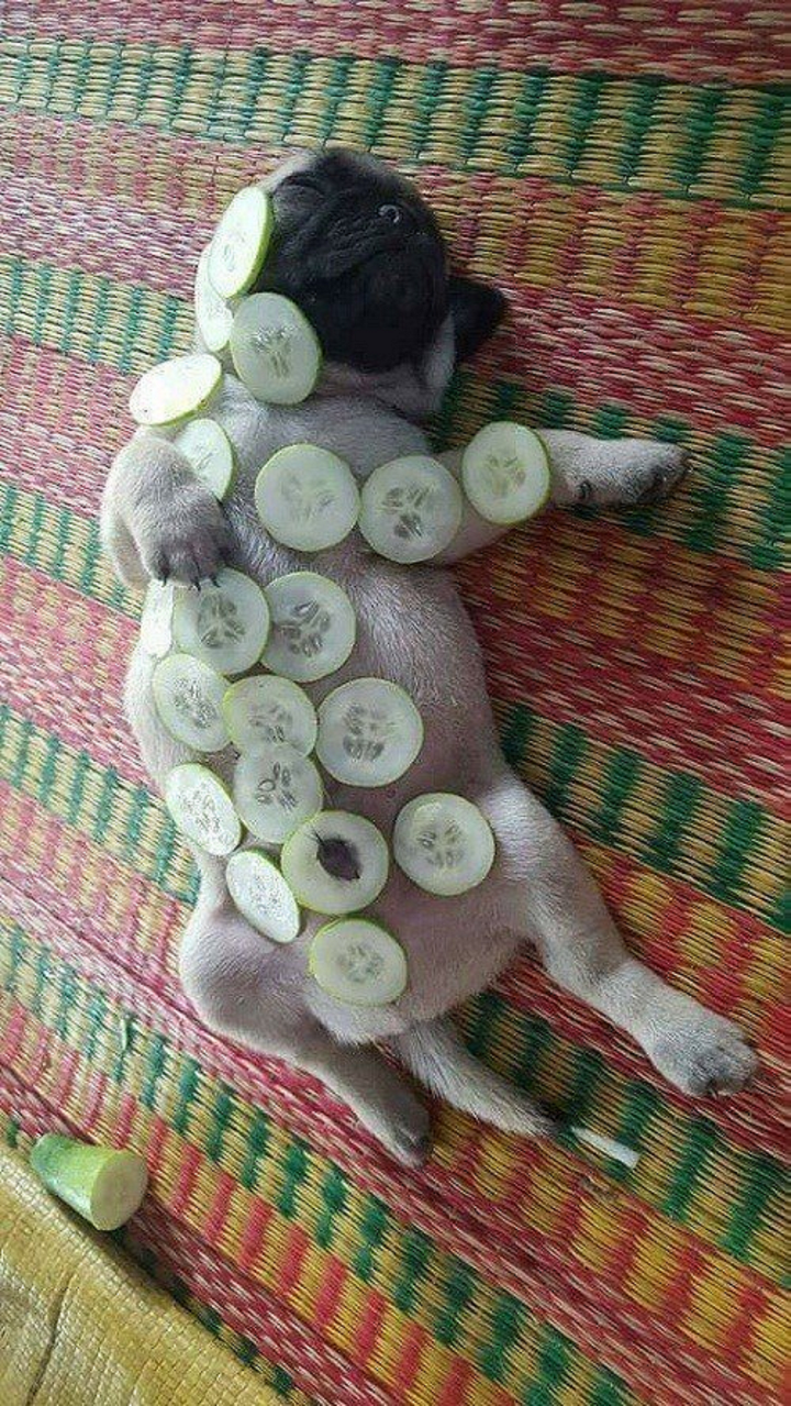 Khoảnh khắc tấu hài của hội người thích đùa khiến dân mạng cười nghiêng ngả - 9