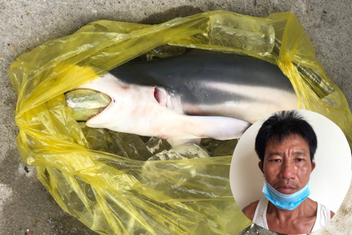 Cho cá 'nuốt' ma túy để mang về nhà - 1