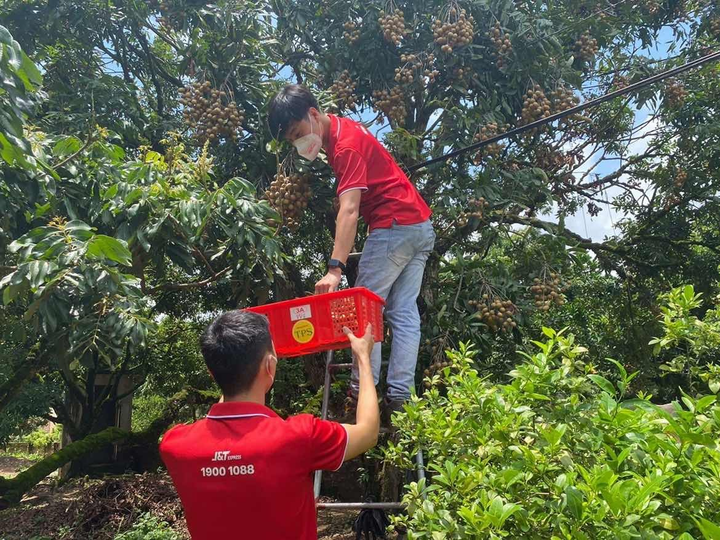 J&T Express hỗ trợ nông sản Việt, cùng nông dân 'vượt khó' mùa dịch - 2