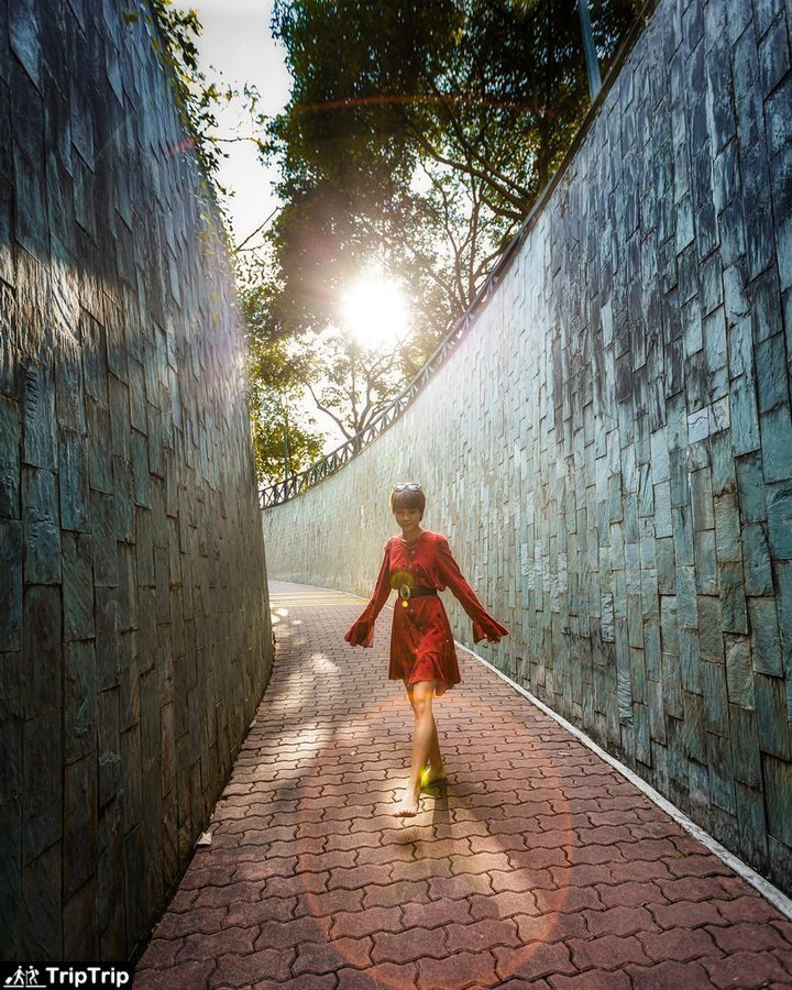 Góc sống ảo đượm màu huyền bí thu hút giới trẻ khắp nơi đến check-in - 7