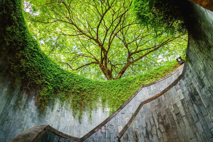 Góc sống ảo đượm màu huyền bí thu hút giới trẻ khắp nơi đến check-in - 1