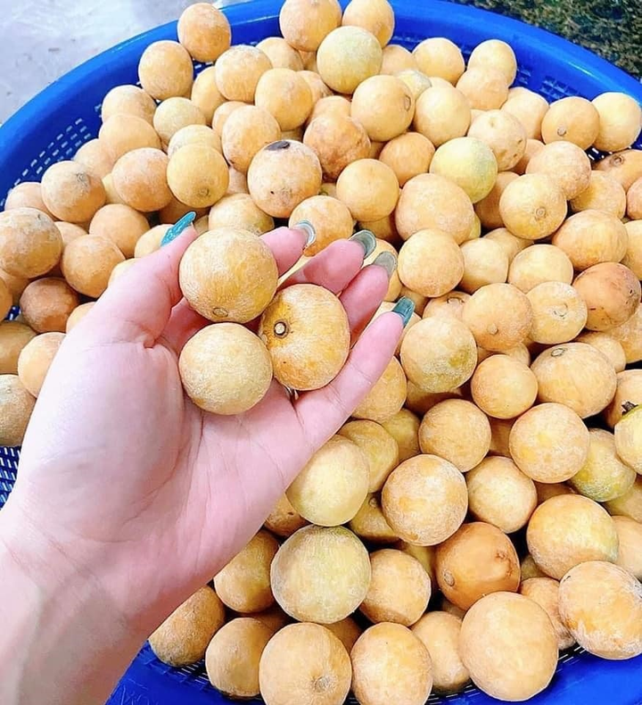 Đặc sản Hà Nội ngày cuối mùa, khách tranh nhau mua - 2