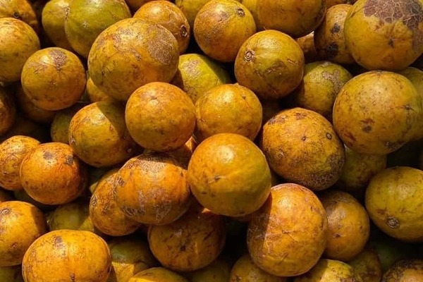 Đặc sản Hà Nội ngày cuối mùa, khách tranh nhau mua - 1