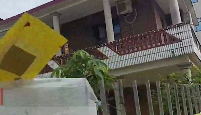 Lấy chồng bác sĩ tưởng sung sướng, cô gái chết thảm dưới tay bố chồng - 2