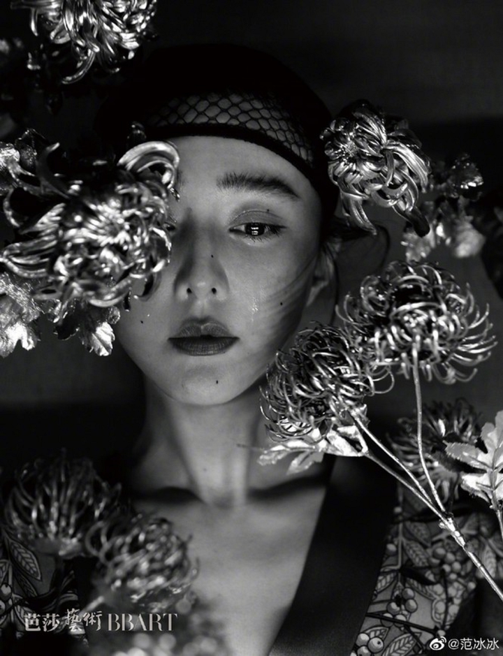 Những phát ngôn kiêu ngạo của Phạm Băng Băng ở giai đoạn đỉnh cao - 2