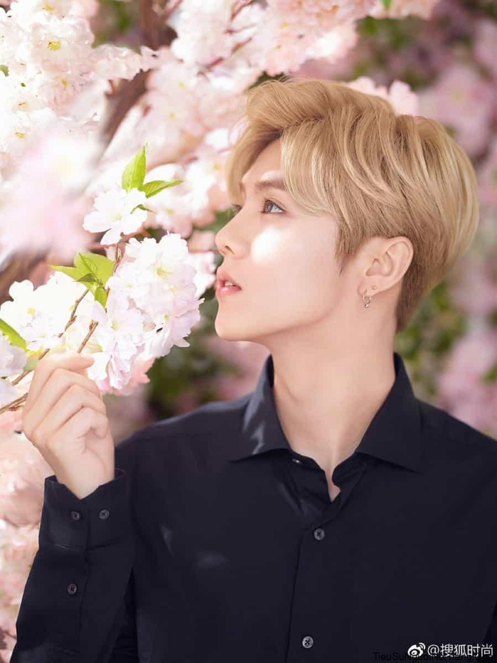 Trung Quốc cấm nghệ sĩ nam ẻo lả, những mỹ nam nào đang 'ngồi trên đống lửa'? - 1