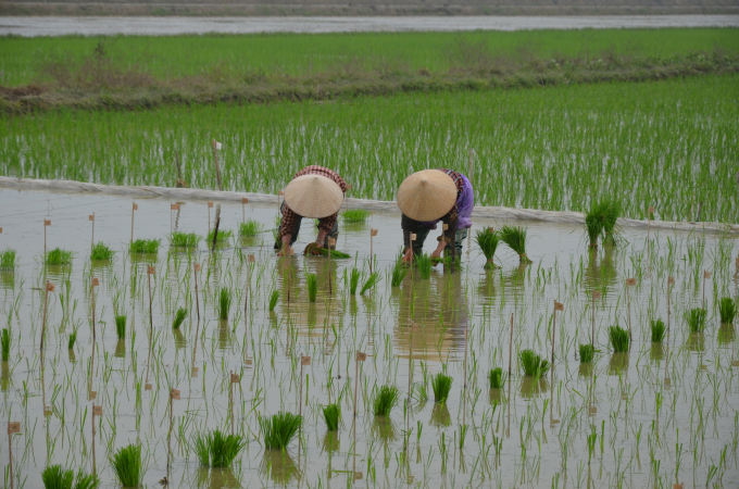 Con trai cả của bác học Lương Định Của qua đời vì COVID-19 - 5