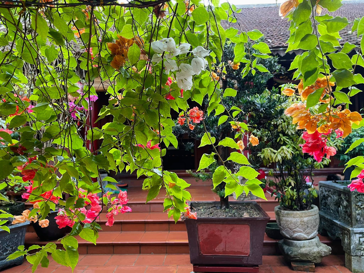 Ngắm biệt phủ trị giá hàng chục tỷ đồng của Vượng Râu - 4