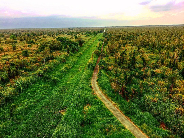 Khám phá khu rừng ở Việt Nam được xếp loại quý hiếm trên thế giới - 1