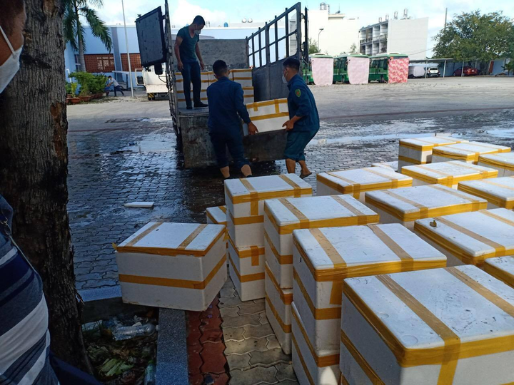 TP.HCM: Trao tặng 3 tấn cá tươi hỗ trợ bệnh nhân COVID-19 huyện Nhà Bè - 1