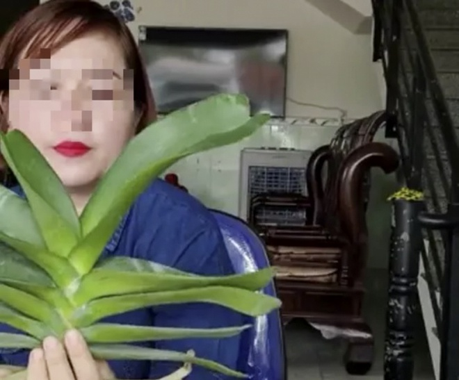 Một người ở Bình Định livestream mua, bán phong lan với gần 26,5 tỷ đồng - 1