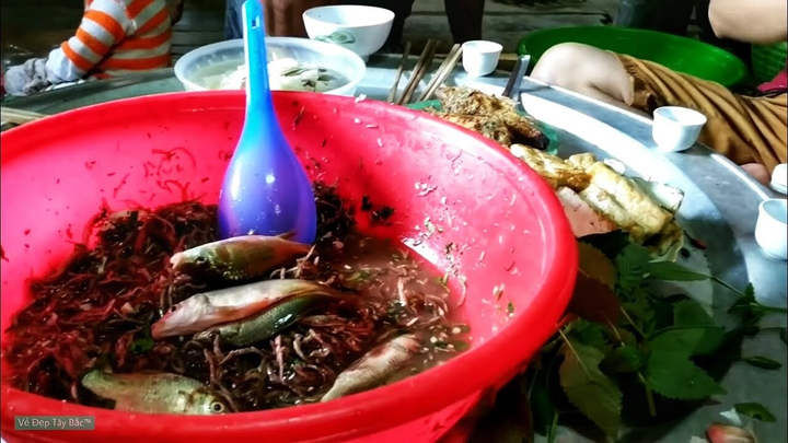 Tim rắn và 3 món ăn sống 'khiếp đảm' nhất Việt Nam, không phải ai cũng dám thử - 3