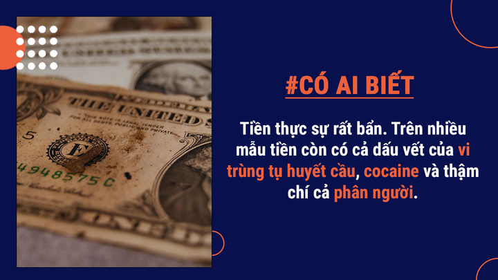 Có ai biết: Tiền giấy không làm từ giấy, lông chim từng là vật liệu làm ra tiền - 4