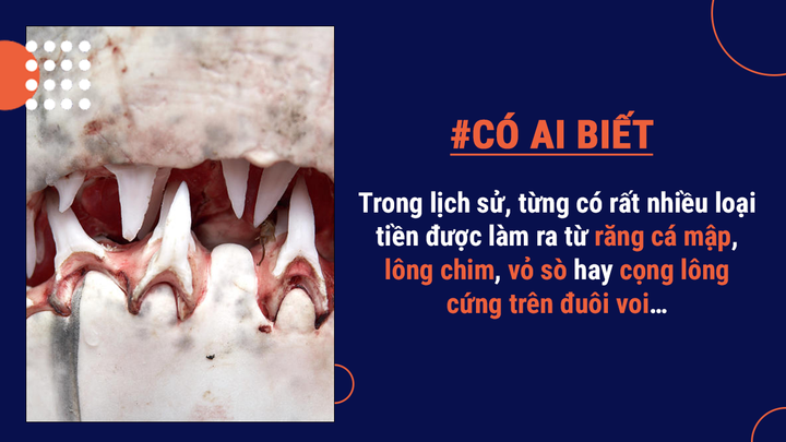 Có ai biết: Tiền giấy không làm từ giấy, lông chim từng là vật liệu làm ra tiền - 2