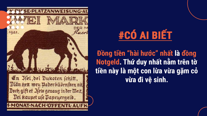 Có ai biết: Tiền giấy không làm từ giấy, lông chim từng là vật liệu làm ra tiền - 8