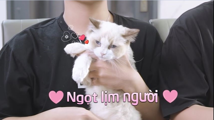 Erik gây bão mạng khi cover ca khúc 'Rửa mặt như mèo' - 6