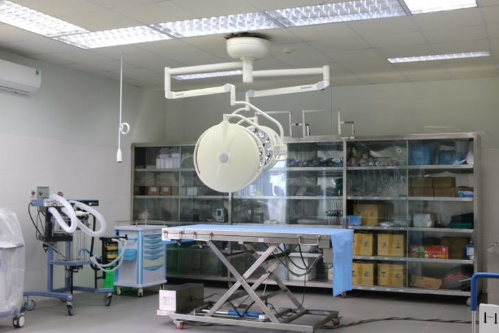 24 giờ của 'bố hổ', 'mẹ sư tử' ngoài đời tại Vinpearl Safari - 4