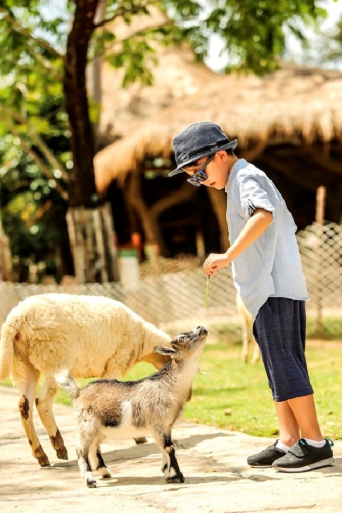 24 giờ của 'bố hổ', 'mẹ sư tử' ngoài đời tại Vinpearl Safari - 6