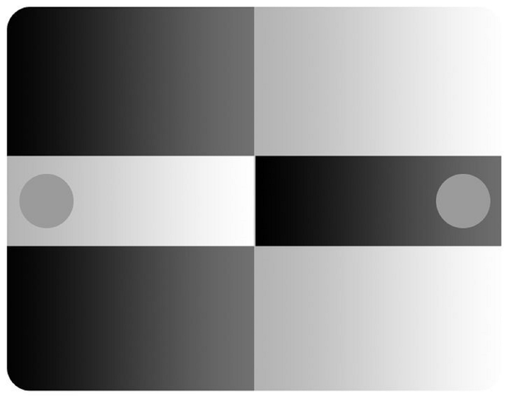 Những bức ảnh gây tranh cãi về màu sắc vật thể: Chiếc túi có màu gì? - 2