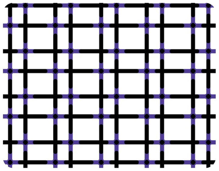 Những bức ảnh gây tranh cãi về màu sắc vật thể: Chiếc túi có màu gì? - 3