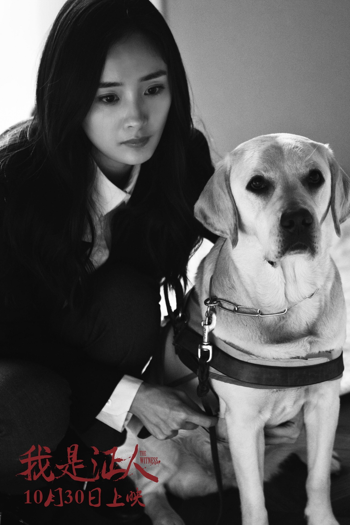 Mỹ nhân quỵt tiền từ thiện rúng động Cbiz 1 thời: Hiện tại vẫn là sao hạng A - 3