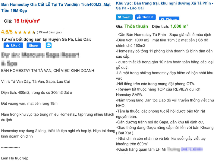 Ngấm đòn COVID-19, homestay đồng loạt rao bán, giá giảm sâu vẫn ế khách - 1