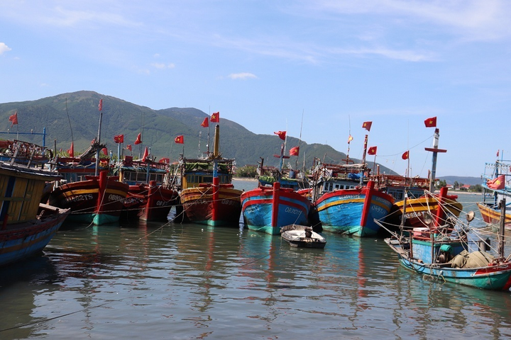 Quảng Bình di dời hơn 100.000 dân trước khi bão Conson đổ bộ - 1