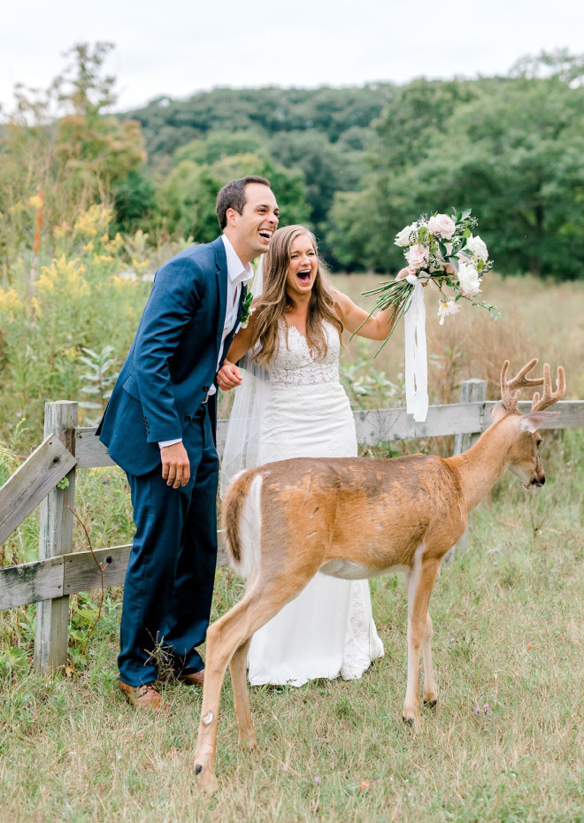 Tuyển tập ảnh cưới có 1-0-2 tạo nên bởi những kẻ 'phá bĩnh' không ngờ tới - 5