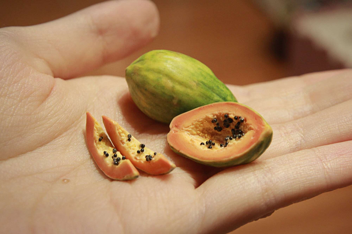 Độc đáo mâm cỗ, đèn lồng trung thu tí hon giá hơn nửa triệu đồng - 10