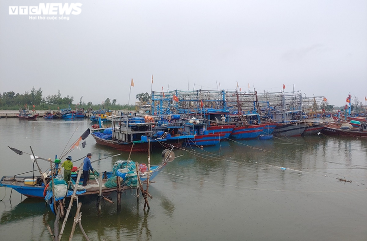 Miền Trung: Ngư dân hối hả neo thuyền vào bờ, nông dân gặt lúa 'chạy' bão Conson - 4