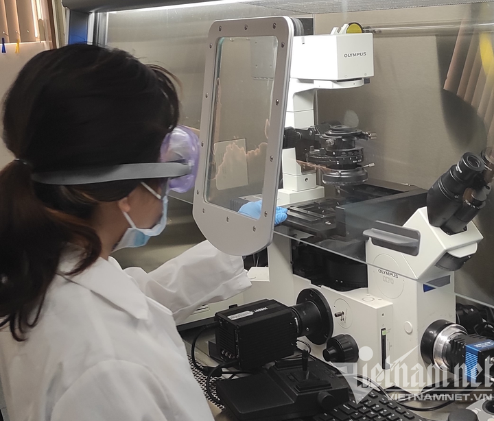 Nữ sinh TP.HCM nhận bằng thạc sĩ trước khi tốt nghiệp đại học - 2