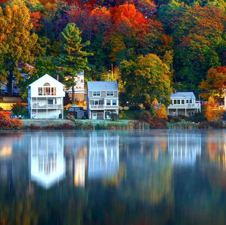 Say đắm ngắm vương quốc Anh ‘thay áo’ chuyển mình sang thu: Lá vàng rợp góc trời - 8