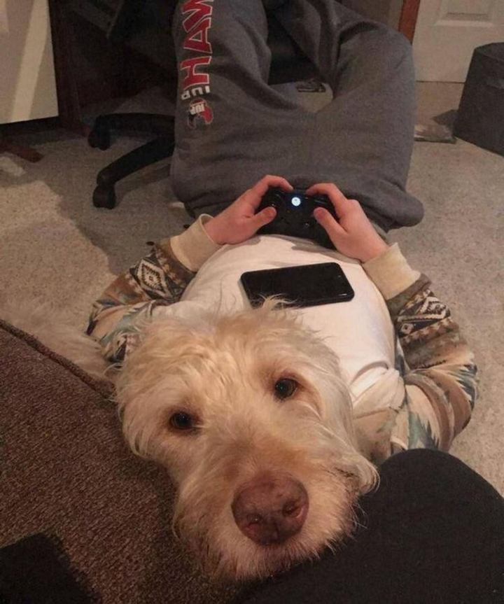 Tròn mắt với những hình ảnh lạ lùng đến nỗi người nhìn nghi ngờ vào mắt mình - 10