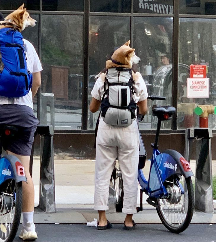 Tròn mắt với những hình ảnh lạ lùng đến nỗi người nhìn nghi ngờ vào mắt mình - 9