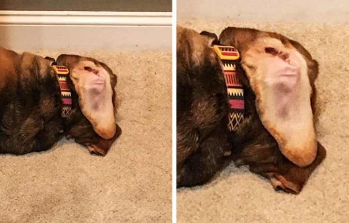 Tròn mắt với những hình ảnh lạ lùng đến nỗi người nhìn nghi ngờ vào mắt mình - 2