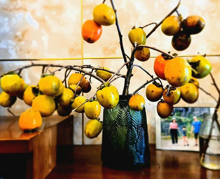 Rộ mốt mua cành hồng về cắm, vừa ngắm vừa chờ quả chín hái ăn dần - 3