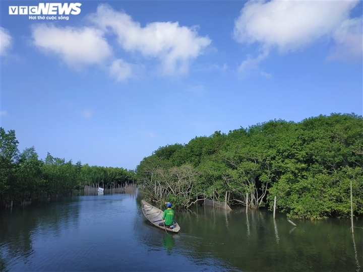 Cấp thiết xây dựng Chiến lược 2030 để bảo tồn đa dạng sinh học - 1