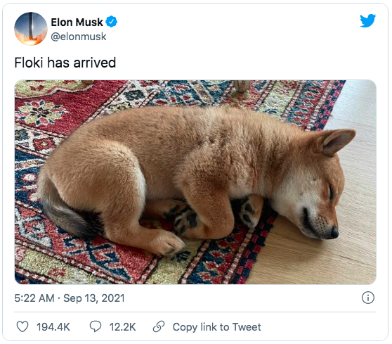 Elon Musk đăng ảnh cún cưng, tiền mã hóa lập tức tăng giá gần 10 lần - 1