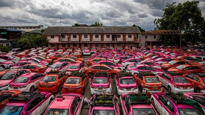 Ế ẩm vì COVID-19, hàng trăm taxi biến thành nơi trồng rau - 2
