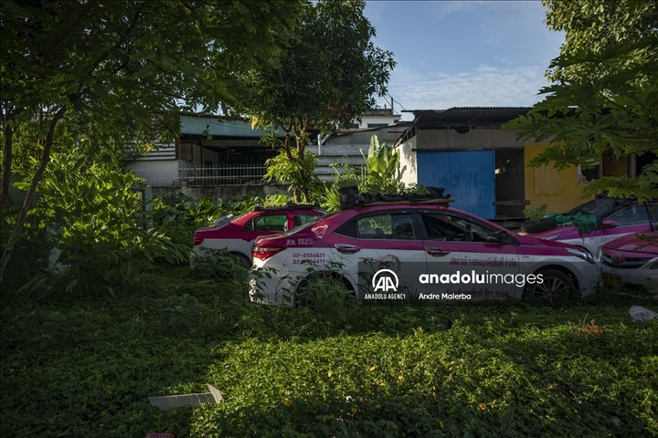 Ế ẩm vì COVID-19, hàng trăm taxi biến thành nơi trồng rau - 7