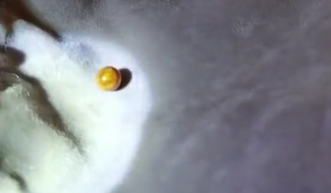 Đang ăn ốc, cô gái mừng húm vì cắn được ngọc quý - 2