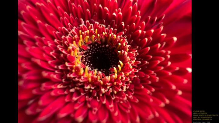 7 cải tiến nổi bật của camera iPhone 13 và iPhone 13 Pro - 3