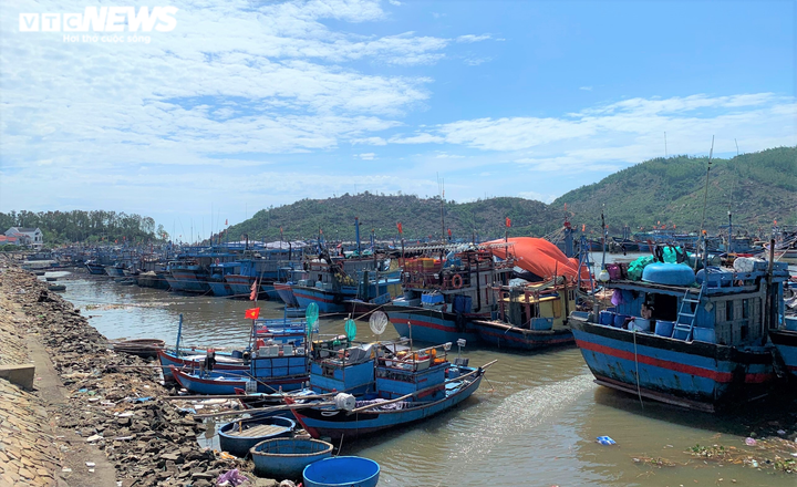 Ảnh: Cảng cá ở Quảng Ngãi đóng cửa, hàng trăm tấn hải sản ứ đọng - 1