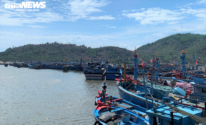 Ảnh: Cảng cá ở Quảng Ngãi đóng cửa, hàng trăm tấn hải sản ứ đọng - 4