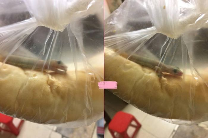 Ảnh vui ngày cuối tuần khiến dân mạng từ cười thả ga đến sợ hết hồn - 3