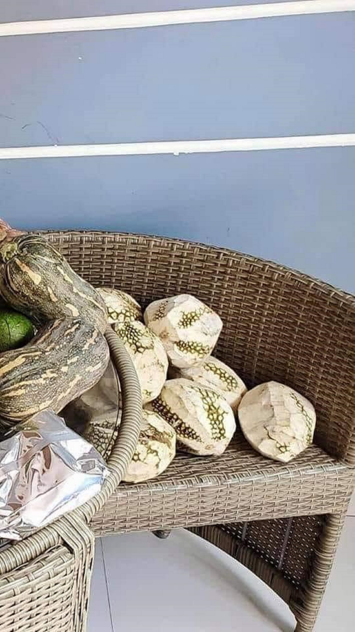 Câu chuyện về những quả sầu riêng không gai khiến ai đọc cũng rưng rưng - 2