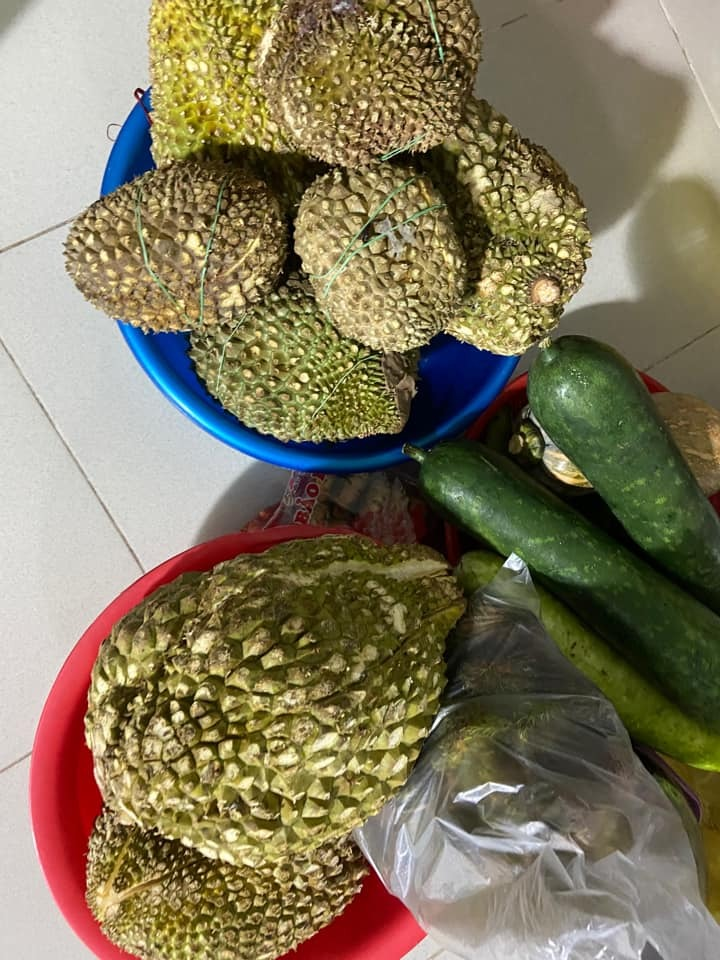 Câu chuyện về những quả sầu riêng không gai khiến ai đọc cũng rưng rưng - 3