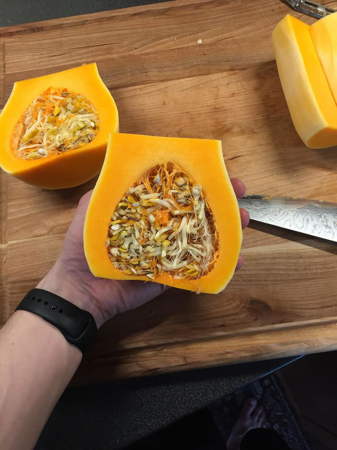 Dân tình giật mình khi phát hiện rau củ quả mua rồi để quên, nhìn mà khóc thét - 8