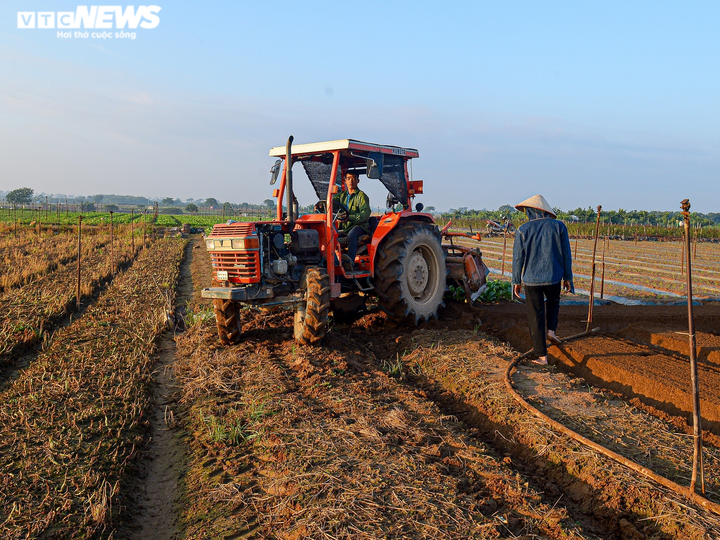 Ngày đầu trở lại sau giãn cách, vựa rau lớn nhất Hà Nội tất bật người ra kẻ vào - 5