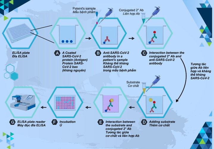Phê duyệt nhập khẩu 30 triệu liều vaccine COVID-19 Hayat-Vax về Việt Nam - 2